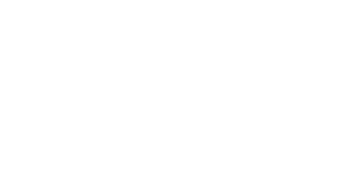 Apache Flink logo